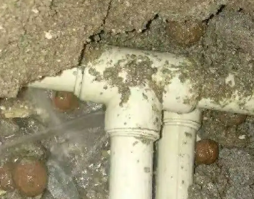 丹徒测漏水多少钱